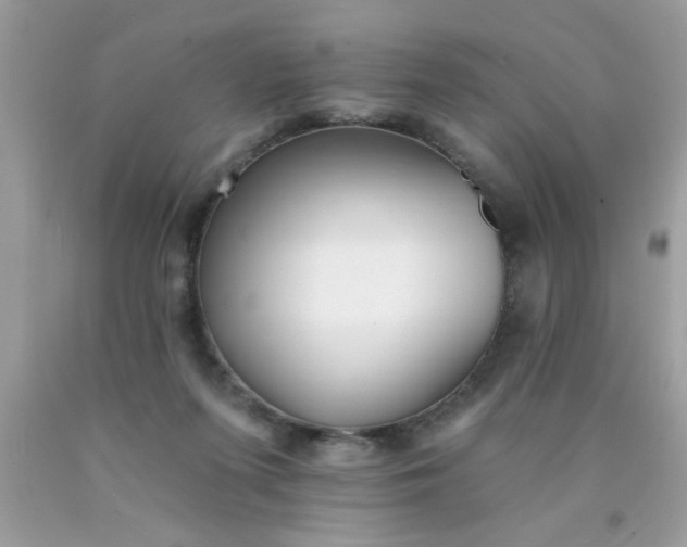 X0000090500215200707280008