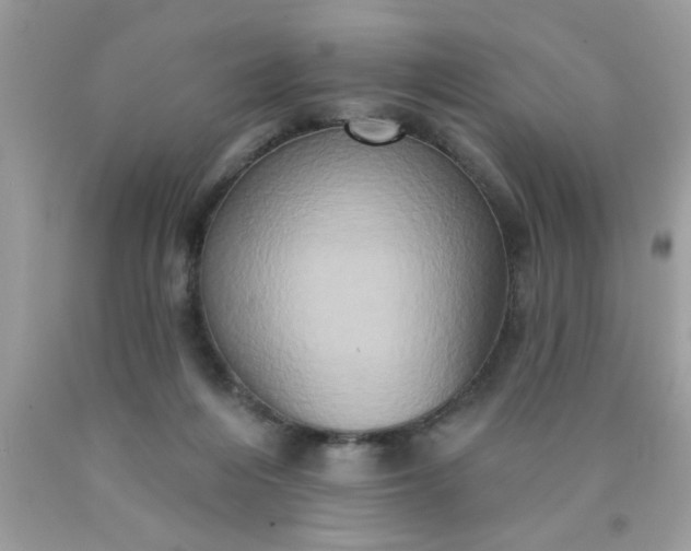 X0000090500216200707280008