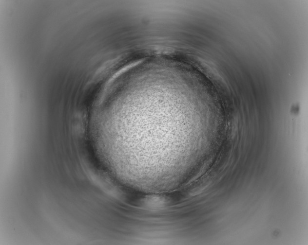 X0000090500218200707280008