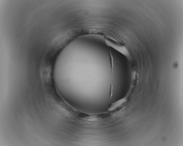 X0000090500219200707280008