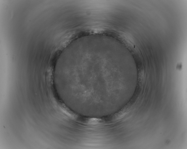 X0000090500222200707280008