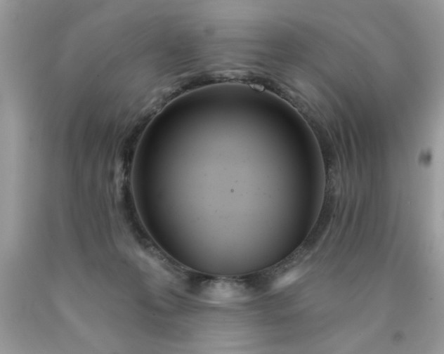 X0000090500223200707280008