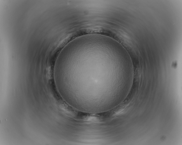 X0000090500224200707280008