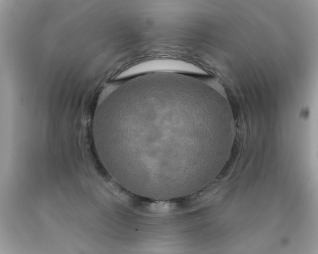 X0000090500225200707280008