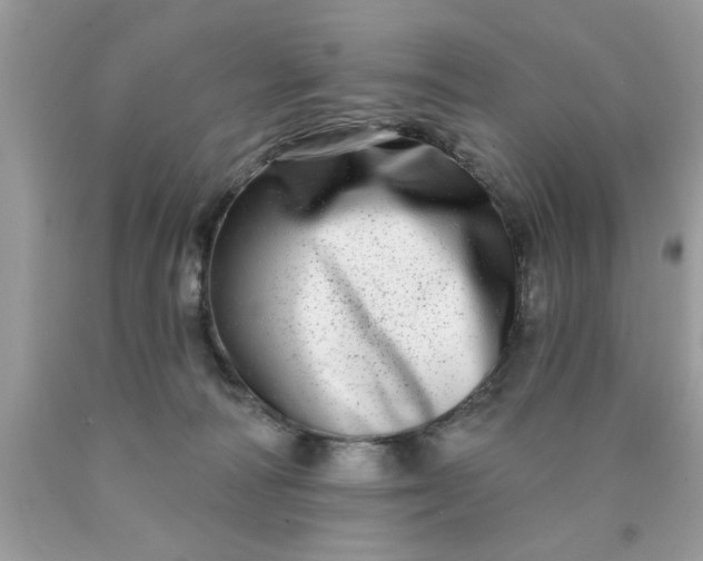 X0000090500226200707280008