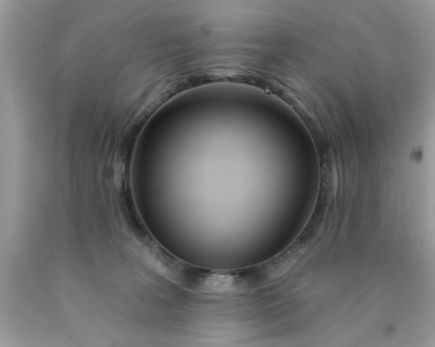 X0000090500227200707280008