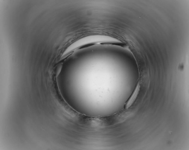 X0000090500229200707280008