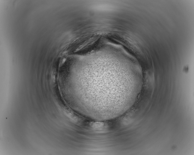 X0000090500230200707280008