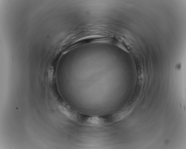 X0000090500231200707280008