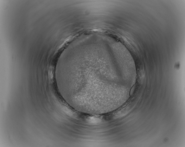 X0000090500232200707280008