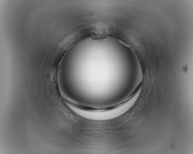 X0000090500233200707280008