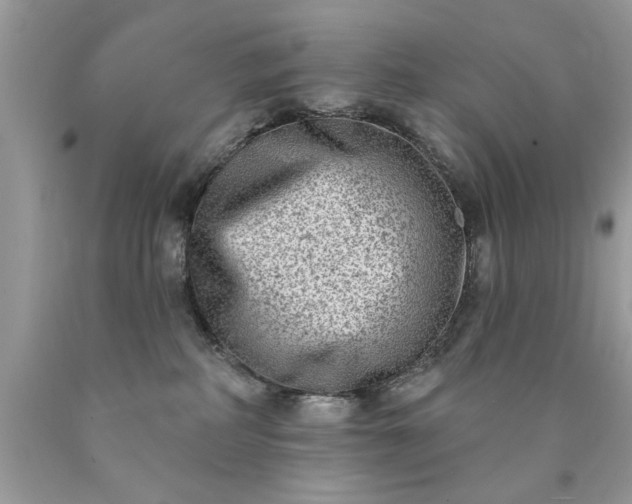 X0000090500234200707280008