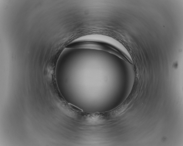 X0000090500235200707280008