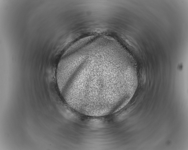 X0000090500236200707280008