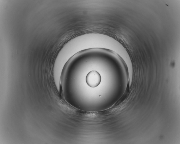 X0000090500237200707280008