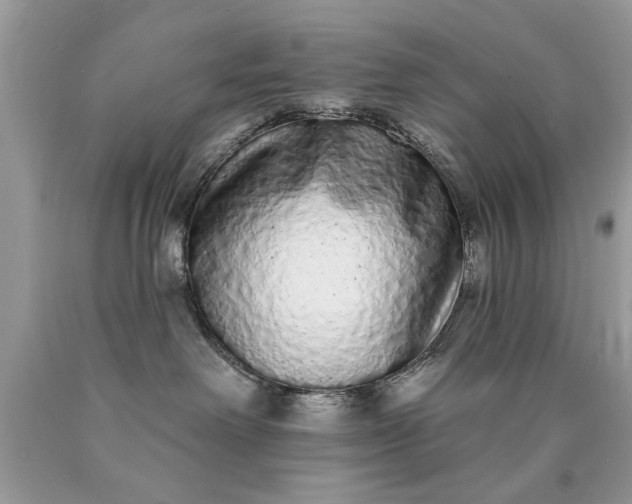 X0000090500238200707280008