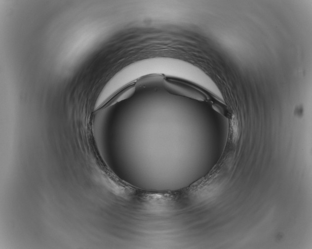 X0000090500239200707280008