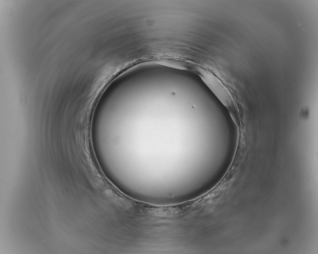 X0000090500241200707280007