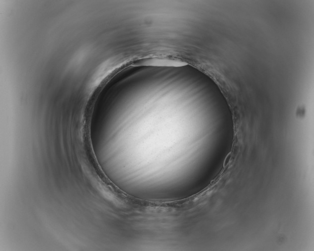 X0000090500242200707280007