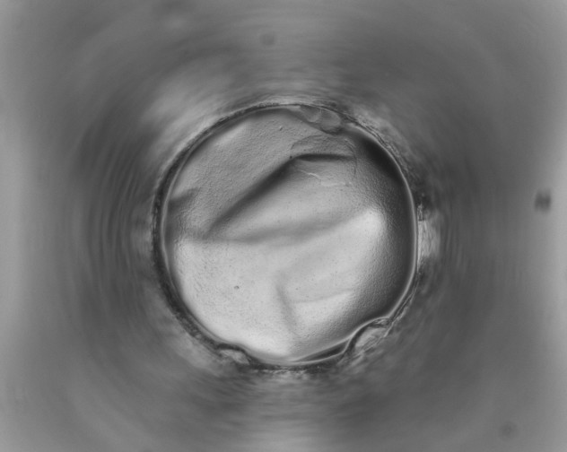 X0000090500243200707280007