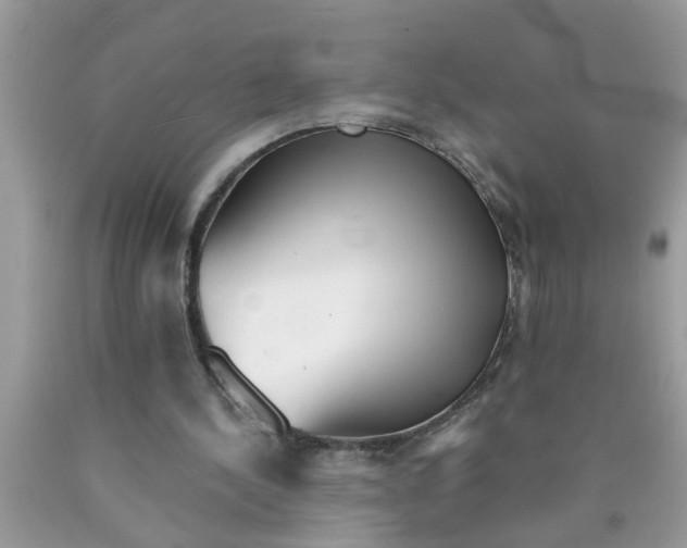 X0000090500244200707280007