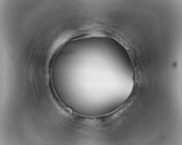 X0000090500245200707280007