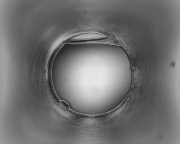 X0000090500246200707280007