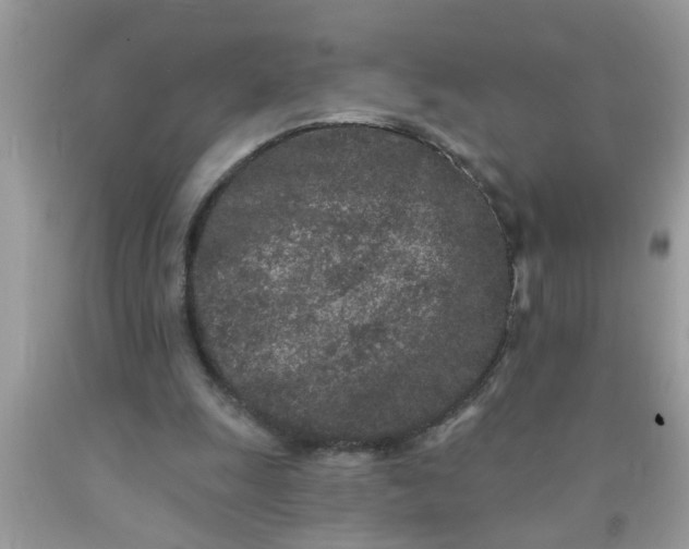 X0000090500247200707280007