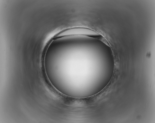 X0000090500248200707280007