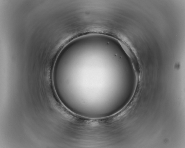 X0000090500249200707280007