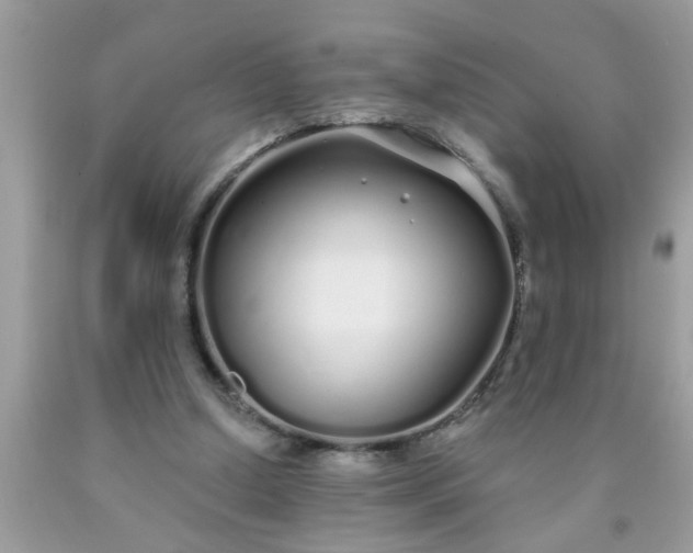 X0000090500250200707280007