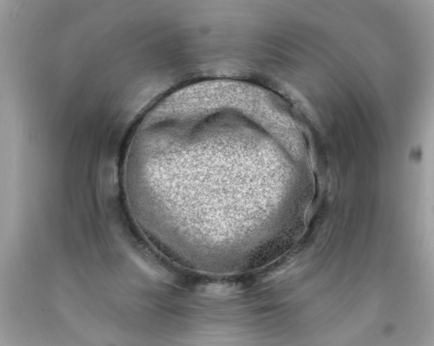 X0000090500251200707280007