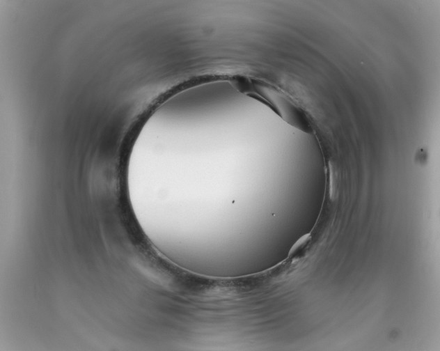 X0000090500252200707280007