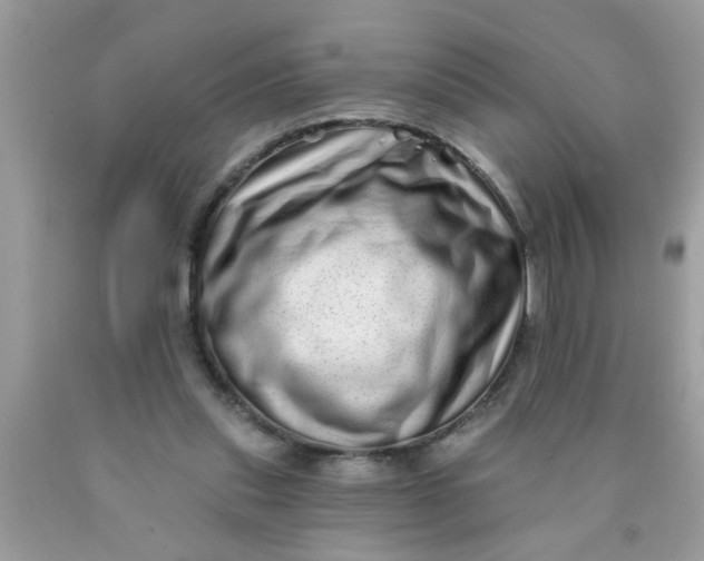 X0000090500253200707280007