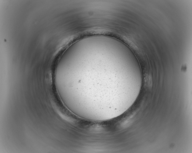 X0000090500254200707280007