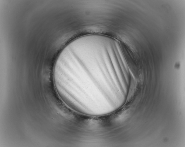 X0000090500255200707280007