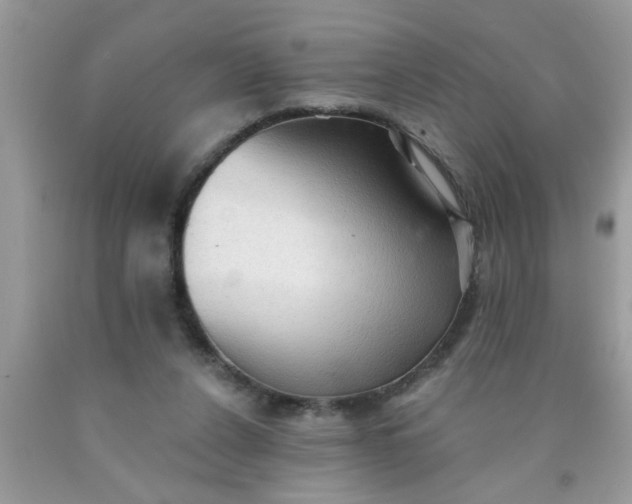 X0000090500256200707280007