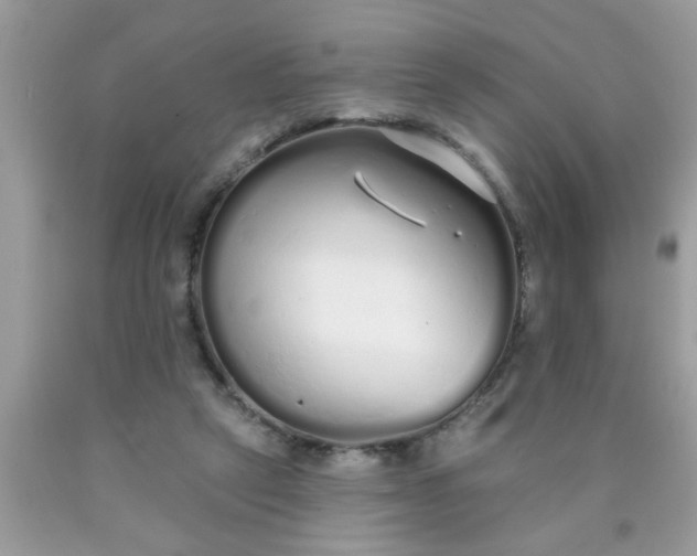 X0000090500257200707280007