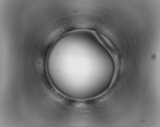 X0000090500258200707280007