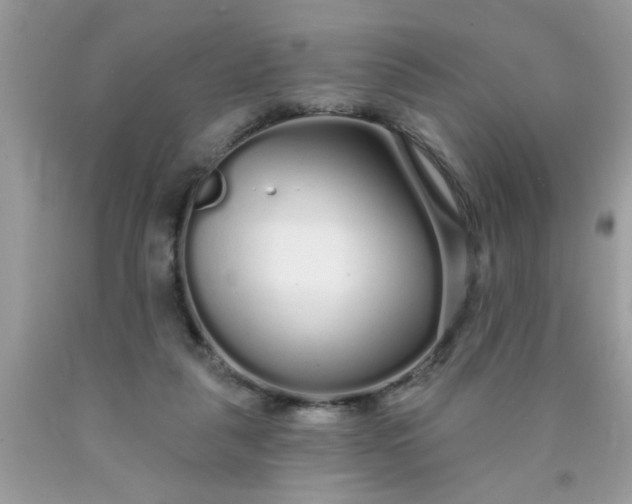 X0000090500259200707280007