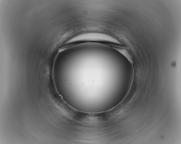 X0000090500260200707280007