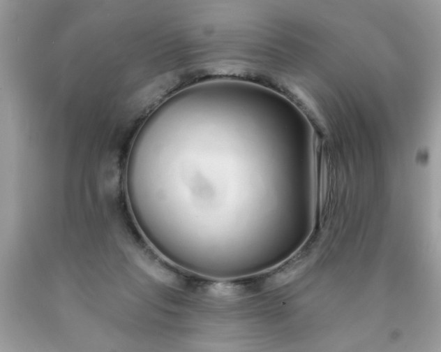 X0000090500261200707280007