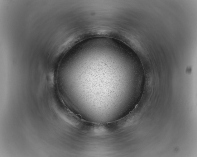 X0000090500262200707280007