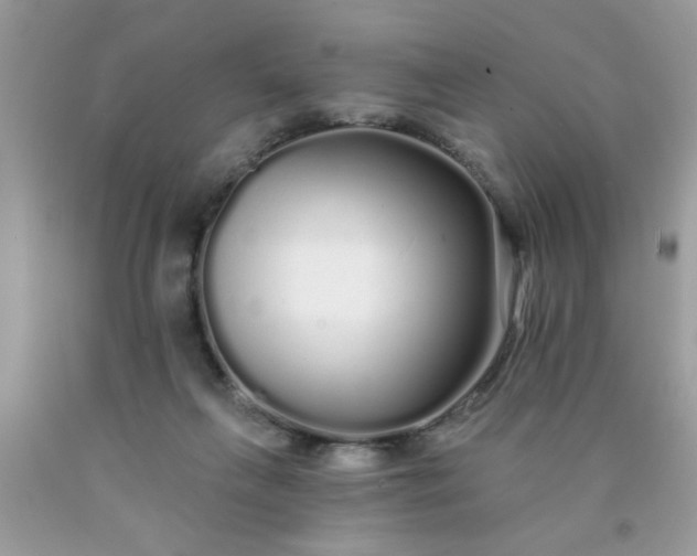 X0000090500263200707280007