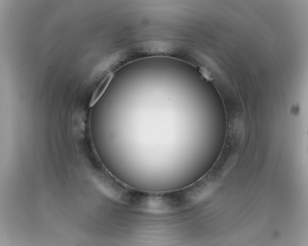 X0000090500264200707280007