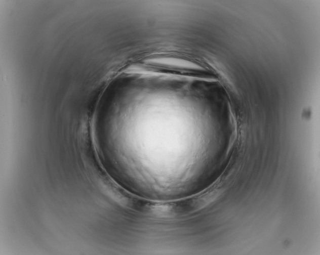 X0000090500265200707280007