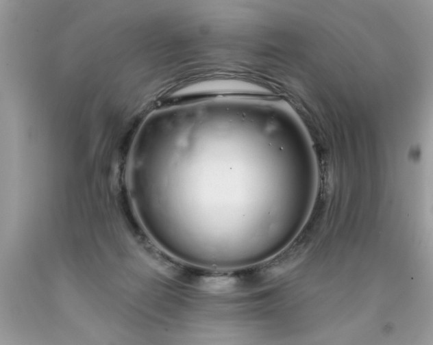 X0000090500266200707280007