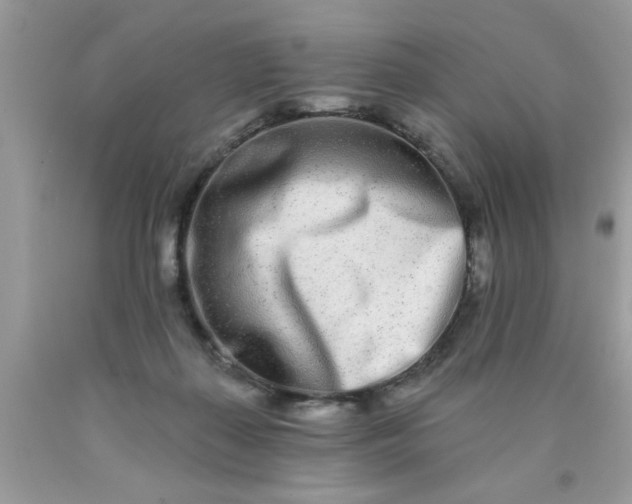 X0000090500267200707280007