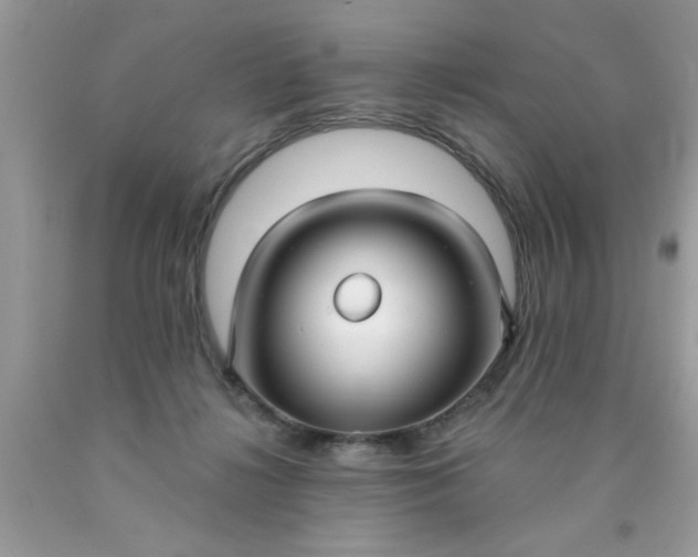 X0000090500268200707280007