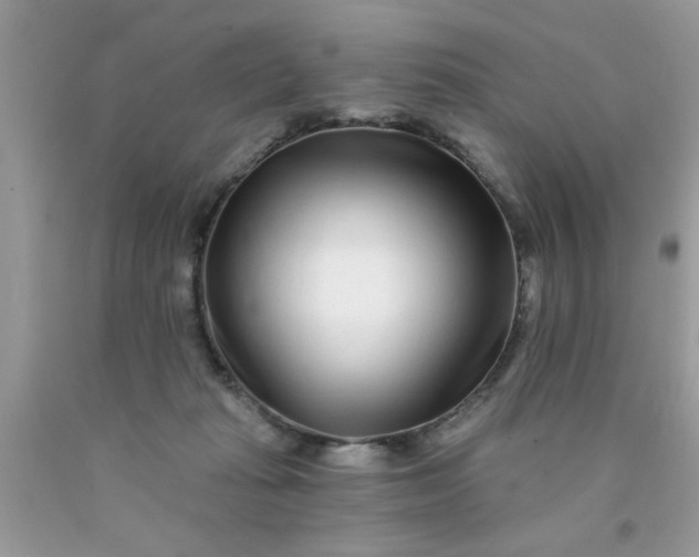 X0000090500269200707280007